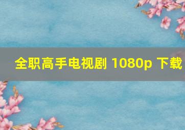 全职高手电视剧 1080p 下载